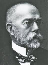 Robert Koch was an important person in the history of Tuberculosis